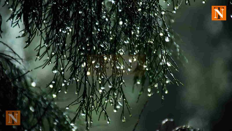 Humid Weather Grips Nagpur Despite Sub-40°C Days; Heatwave Likely Soon